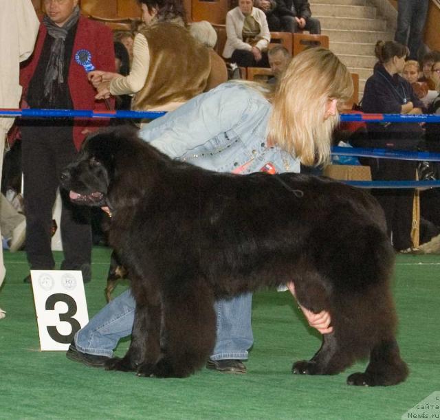 Фотография № 32538