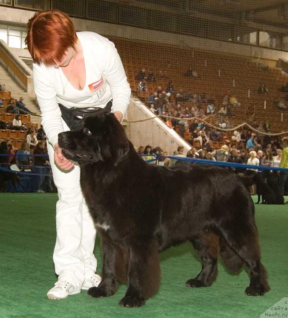 Фотография № 32541