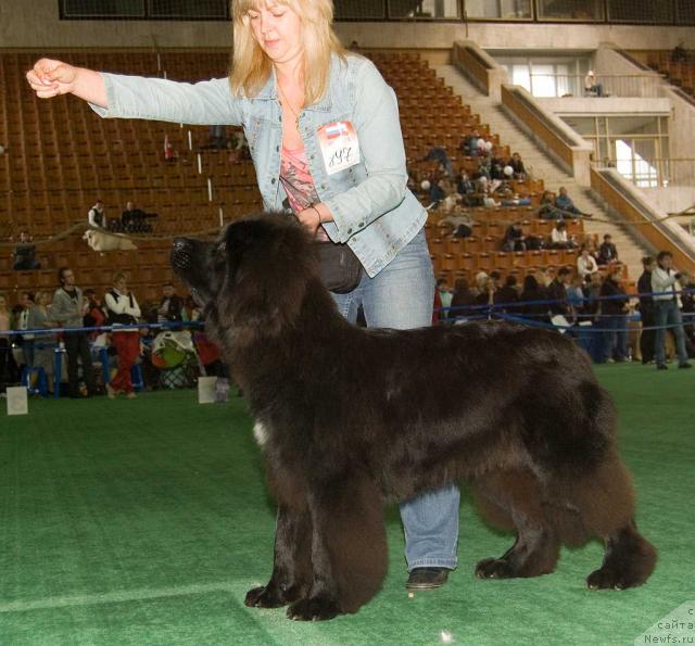 Фотография № 32542