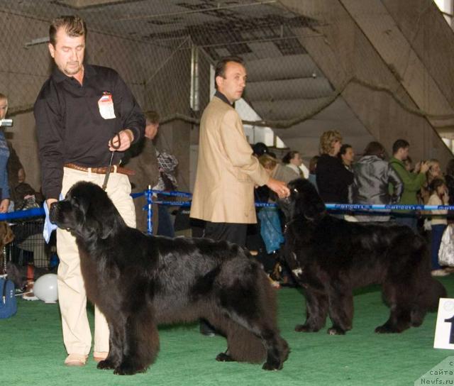 Фотография № 32553