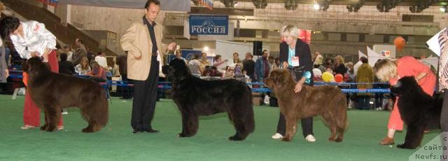 Фотография № 32555