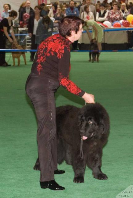 Фотография № 32560