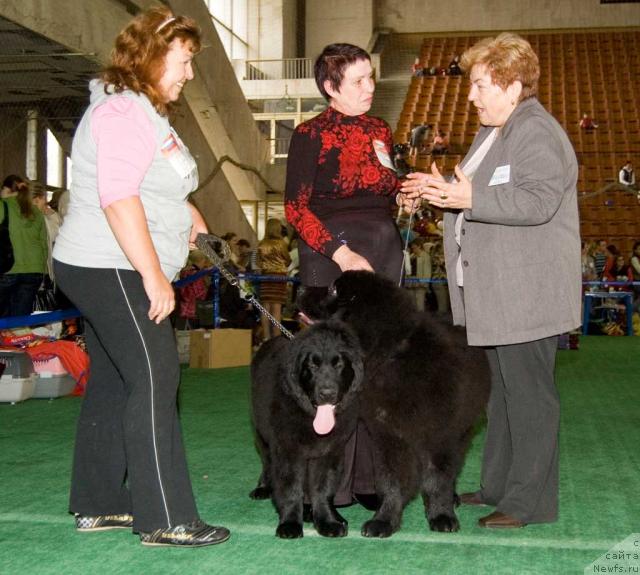 Фотография № 32561