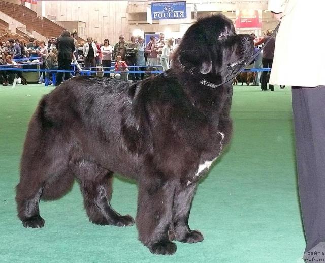 Фотография № 32564