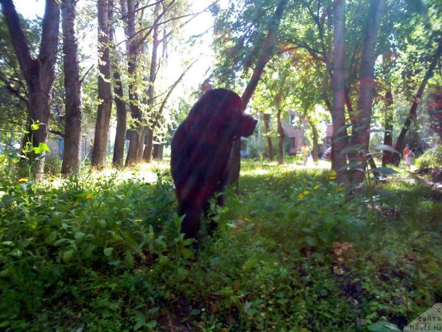 Фото: Желанный Подарок от Марлеон Дусвик