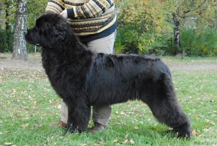 Фотография № 32677