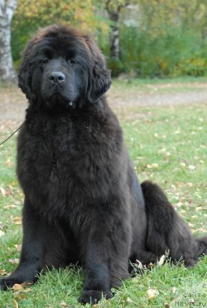 Фотография № 32678