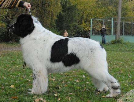 Фотография № 32679