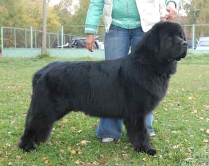 Фотография № 32680