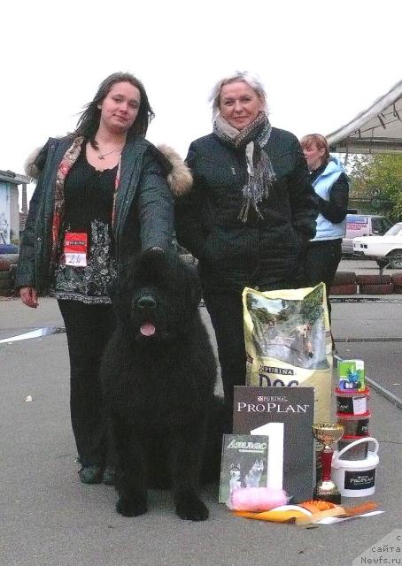 Фото: Mariya SHatilova (Мария Шатилова), ньюфаундленд Skippers Secret Agent For Donat's Pride, Краковская Людмила