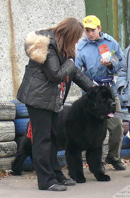 Фотография № 32690