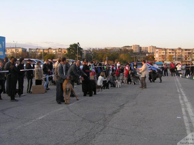 Фотография № 32771