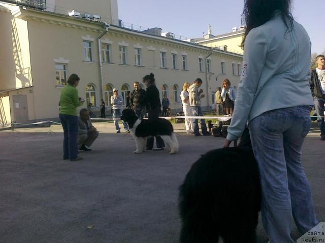 Фотография № 32797