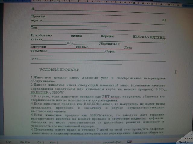 Фотография № 32813