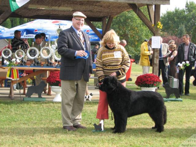 Фотография № 32823