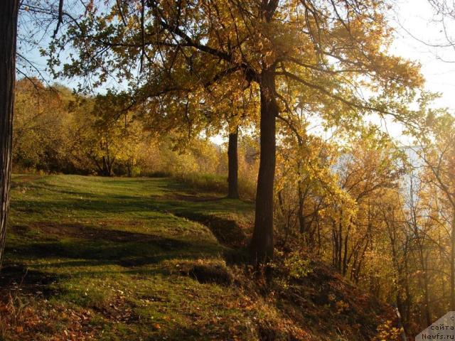 Фотография № 32886