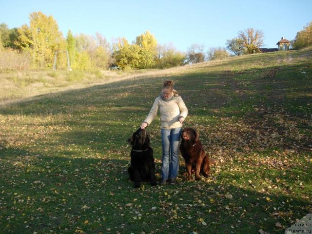 Фото: ньюфаундленд Konfuciy (Конфуций), Diana Larina (Диана Ларина), ньюфаундленд Lesnaya Skazka Raskrasavica (Лесная Сказка Раскрасавица)