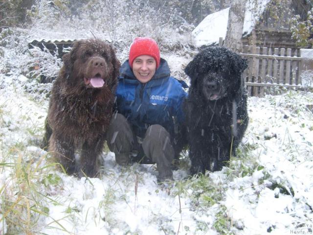 Фото: ньюфаундленд Fann'yuf Akudzyava Nazarovna (Фанньюф Акудзява Назаровна), Oksana Volkova (Оксана Волкова), ньюфаундленд Arabella Doch' Vivata (Арабелла Дочь Вивата)