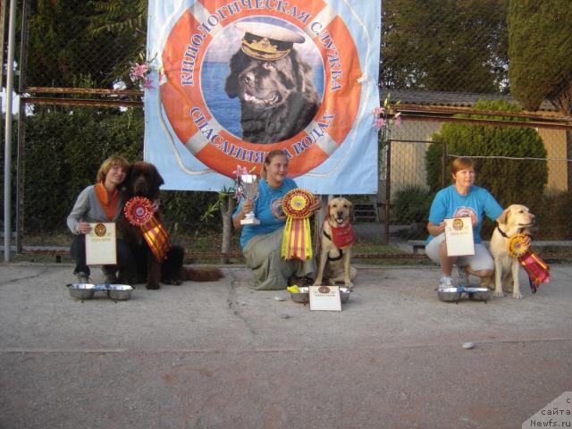 Фотография № 32912