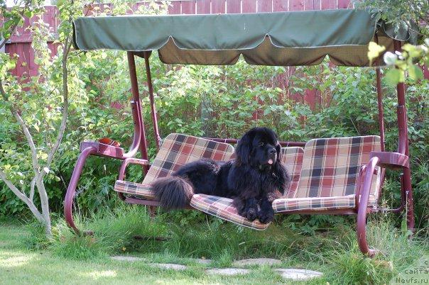 Фотография № 32968