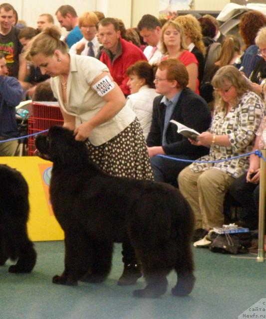 Фотография № 32969