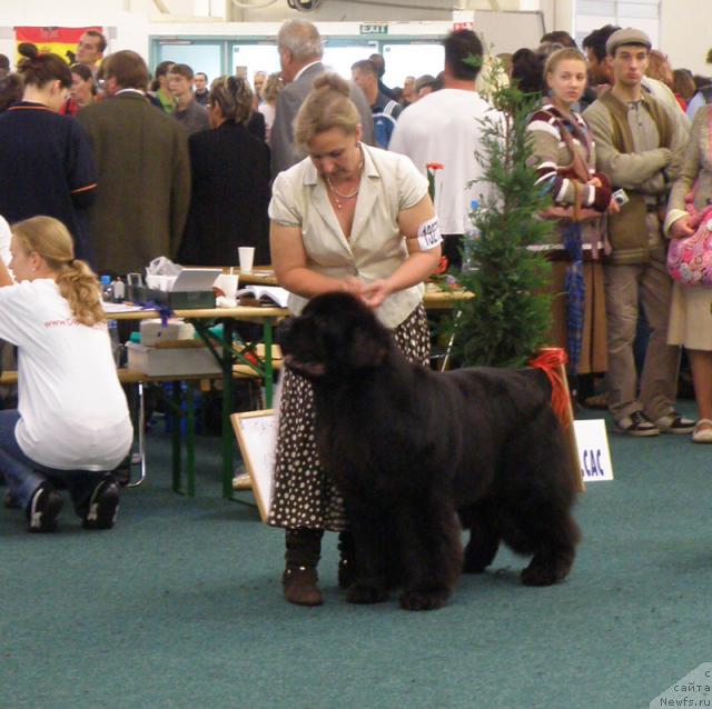 Фотография № 32973