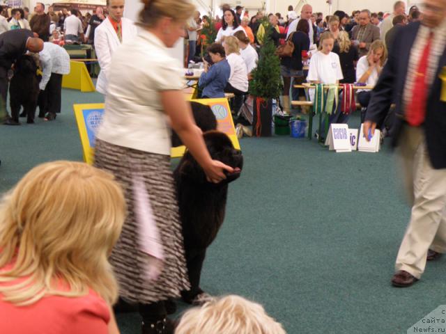 Фотография № 32974