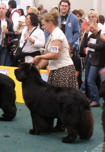 Фотография № 32975