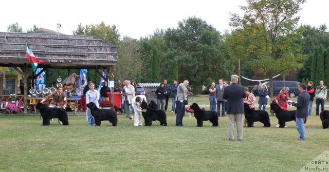 Фотография № 32976