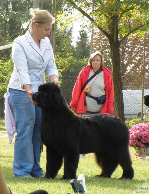 Фотография № 32978