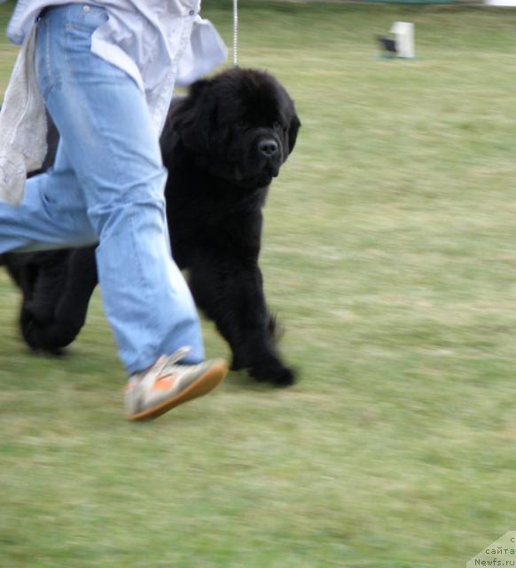 Фотография № 32981