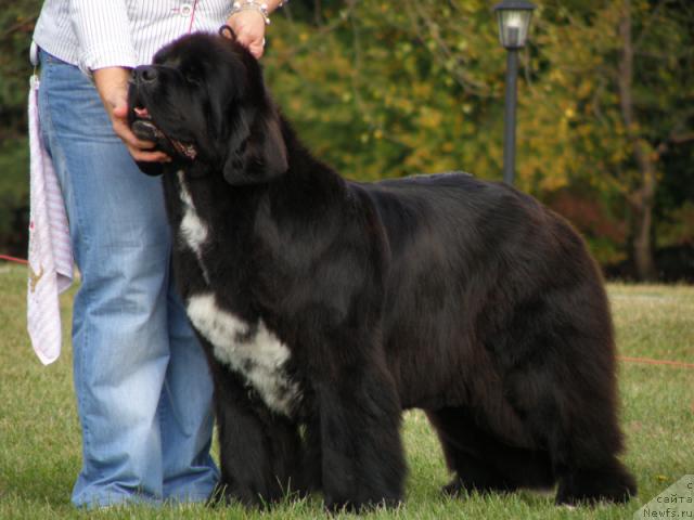 Фотография № 32984