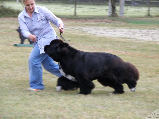 Фотография № 32985