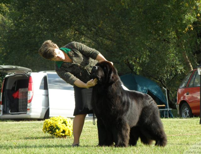 Фотография № 32987