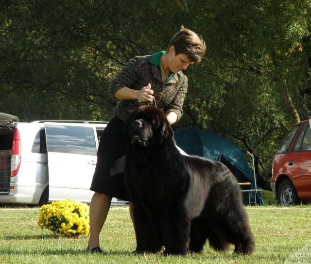 Фотография № 32988