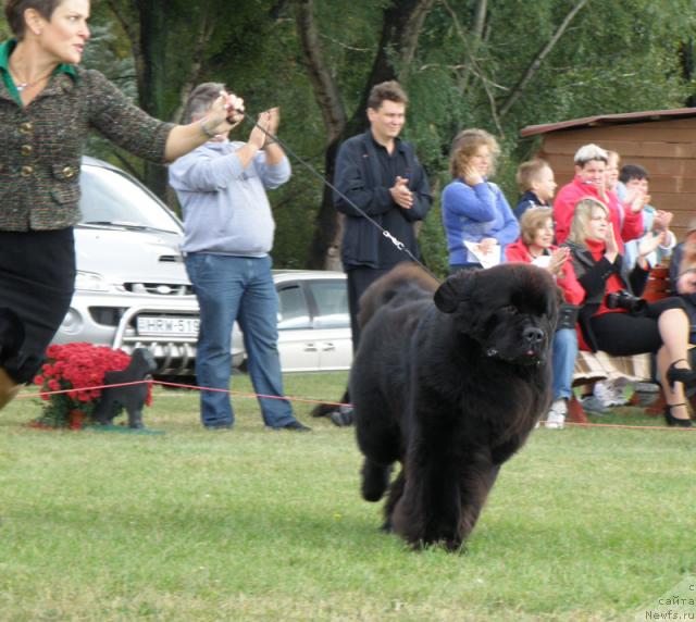 Фотография № 32990