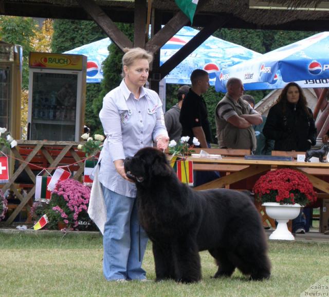 Фотография № 32992