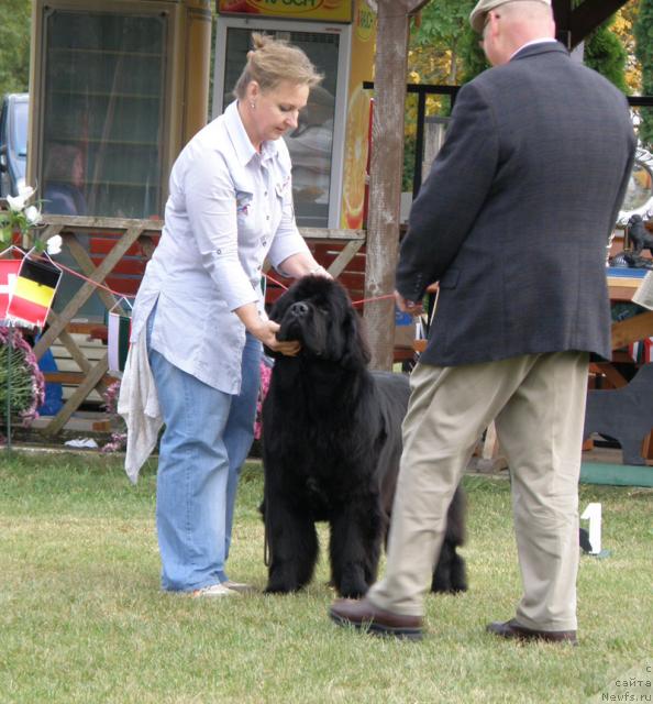 Фотография № 32996