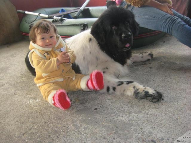 Фотография № 32997