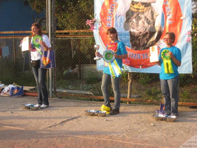 Фотография № 33003