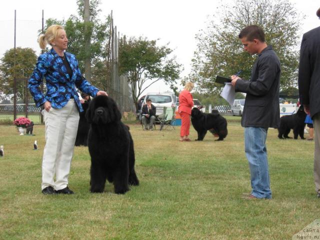 Фото: Starry Town Cuit Cuit