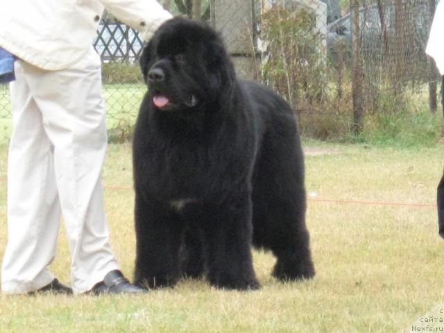 Фото: Starry Town Bon Al Prim