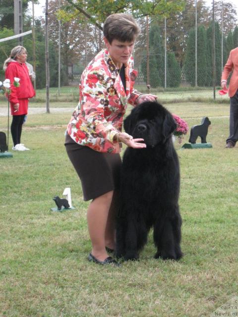 Фото: Midnight Lady\'s Young Heart