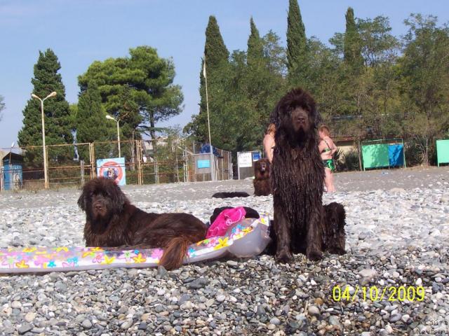 Фотография № 33053