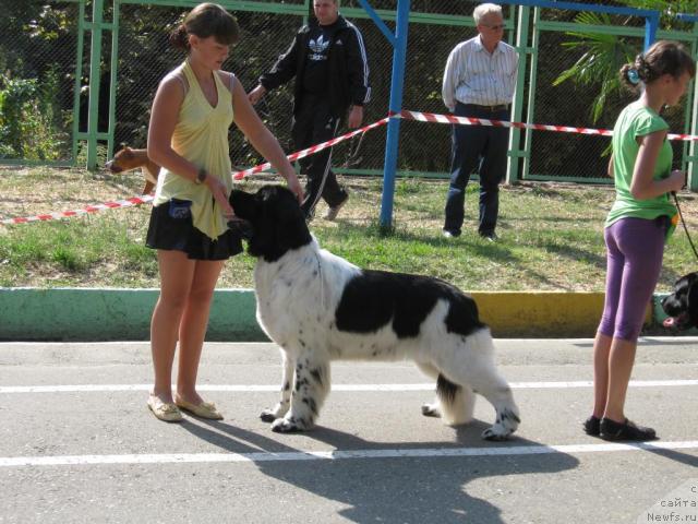 Фотография № 33079