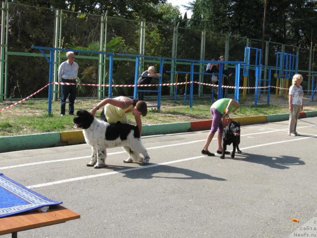 Фотография № 33085