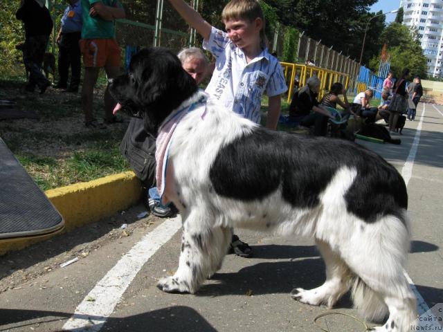 Фотография № 33099