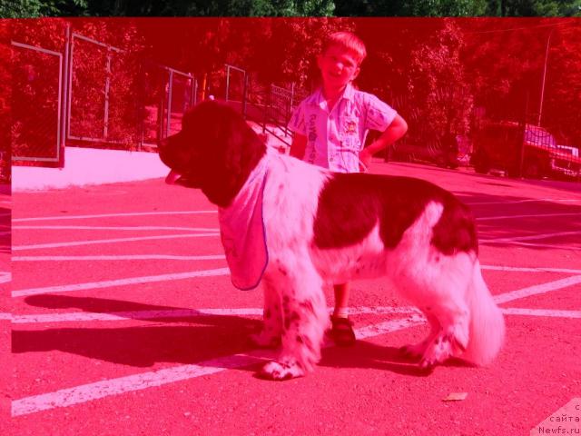 Фотография № 33105