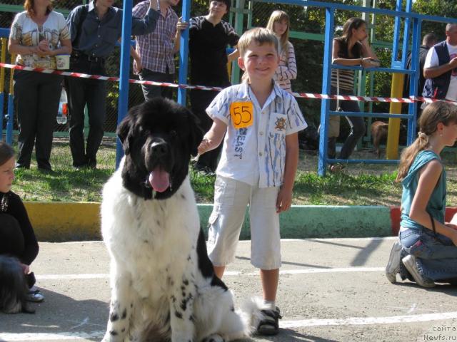 Фото: ньюфаундленд Don't Worry Be Happy de L'Etoile de Cyrice
