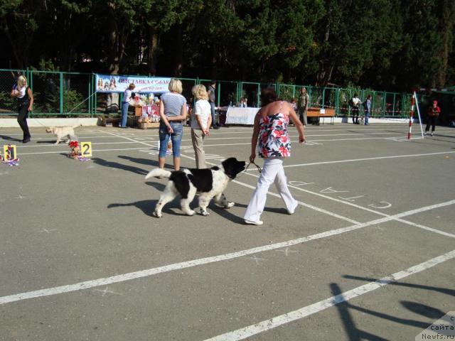 Фотография № 33112